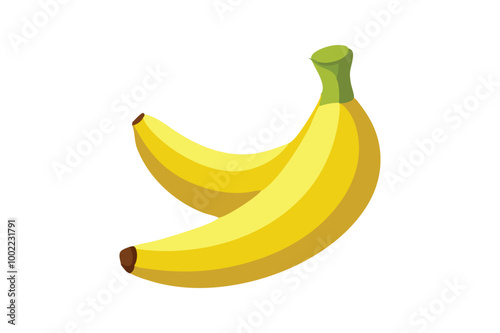 Banana vector art illustration photo