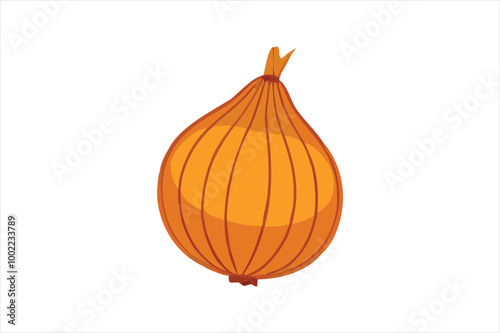 Onion vector art and illustration