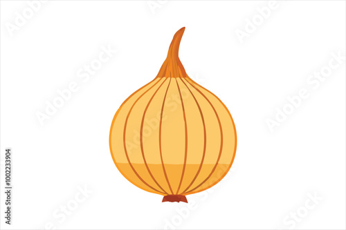 Onion vector art and illustration
