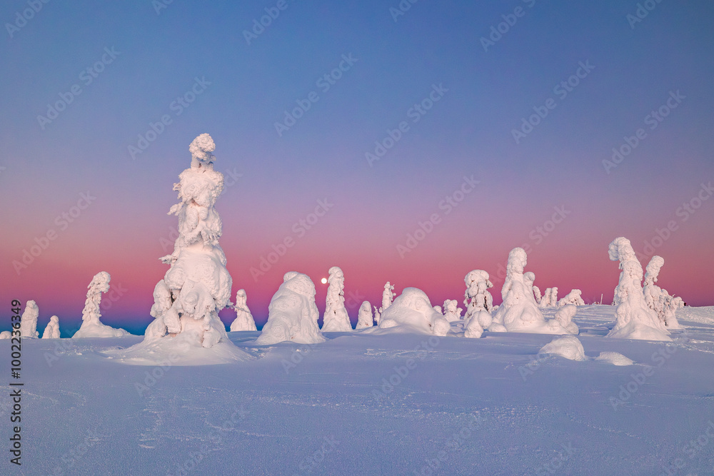 landscape with snow