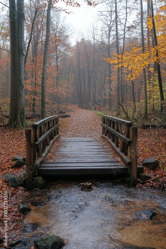 A serene wooden bridge over a creek in a colorful autumn forest on a foggy day