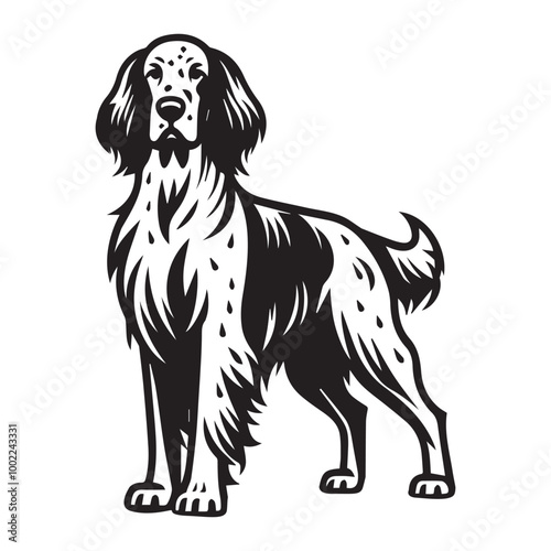 English Setter Dog Standing Vector illustration in black and white