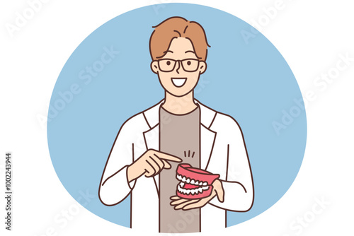 The dentist shows the model of the jaw