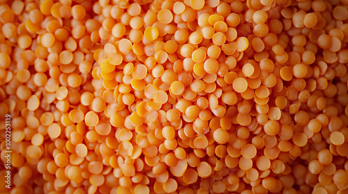 A top-down perspective of organic red lentils