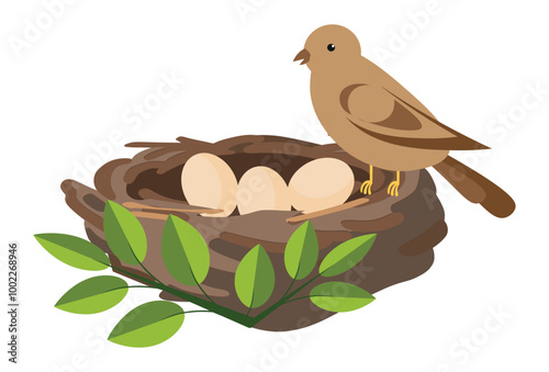 Vector illustration with a bird that is sitting next to the eggs in the nest. Nest isolated on white background Flat design element