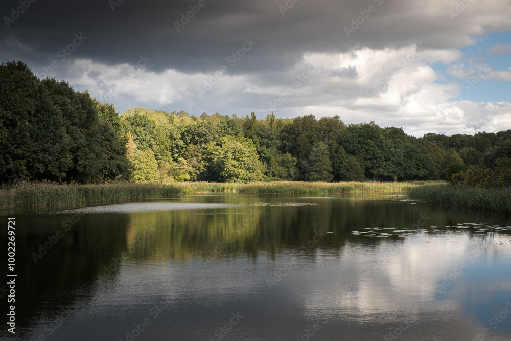 Landscape, fresh air, a walk in the park.
Landscape, fresh air, a walk in the park.