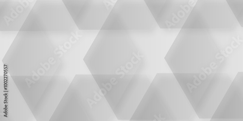 Comprehensive Exploration of Hexagon White Geometry Tiles: Unveiling the Intricate Beauty, Design Versatility, and Modern Applications of Vector Graphics in Contemporary Interior Decor, Architecture