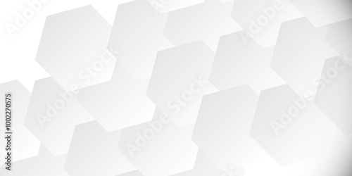 Comprehensive Exploration of Hexagon White Geometry Tiles: Unveiling the Intricate Beauty, Design Versatility, and Modern Applications of Vector Graphics in Contemporary Interior Decor, Architecture