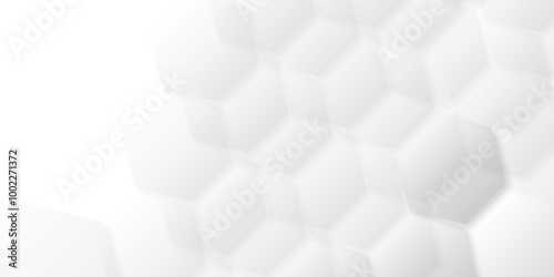 Comprehensive Exploration of Hexagon White Geometry Tiles: Unveiling the Intricate Beauty, Design Versatility, and Modern Applications of Vector Graphics in Contemporary Interior Decor, Architecture