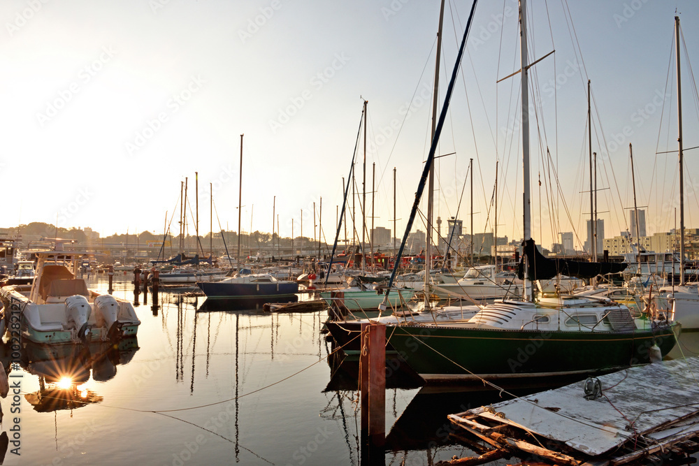 Fototapeta premium 横浜貯木場跡のハーバー夕景