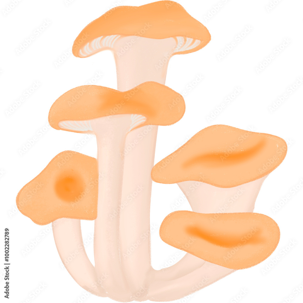 Mushroom Autumn Mushroom Autumn