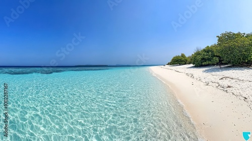 Pristine white sand beach with turquoise clear water and lush trees in the background under a blue sky.