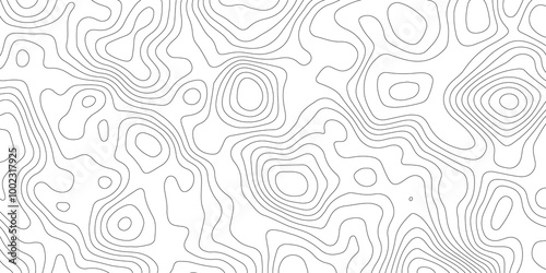 Thorough Examination of Topography and Topology: An In-Depth Analysis of the Role and Significance of White in Geometric Design, Cartography, and Spatial Representation, Exploring Its Impact