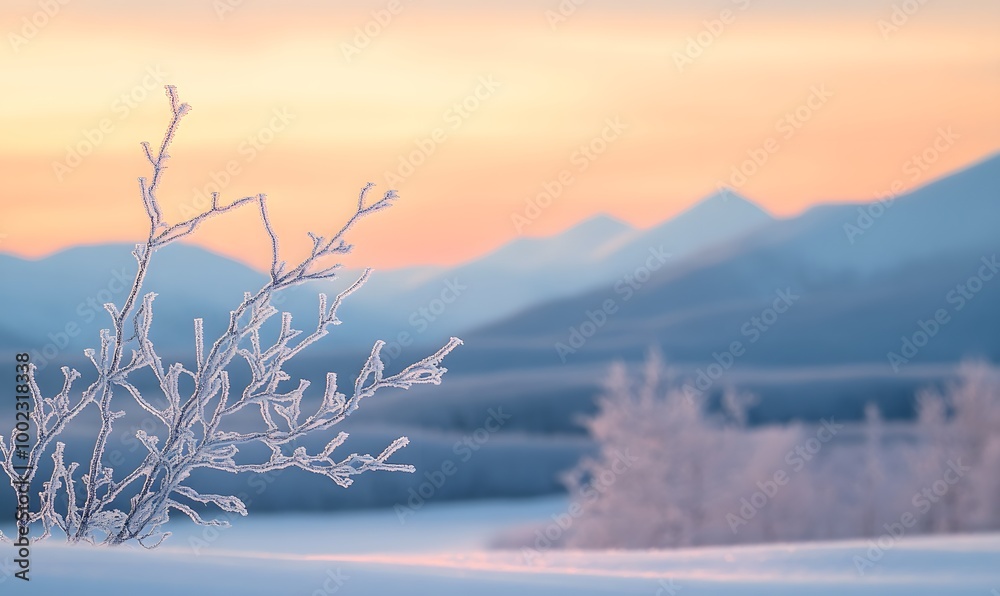 Fototapeta premium frosty branch standing out in the foreground with a serene, Generative AI 