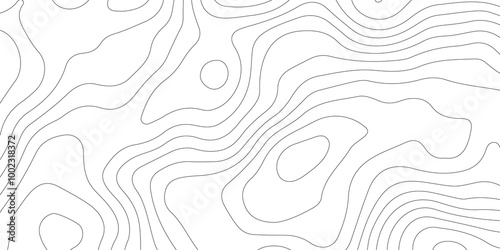 Thorough Examination of Topography and Topology: An In-Depth Analysis of the Role and Significance of White in Geometric Design, Cartography, and Spatial Representation, Exploring Its Impact