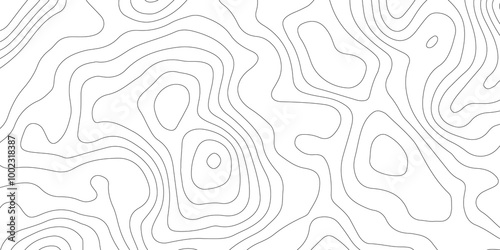 Thorough Examination of Topography and Topology: An In-Depth Analysis of the Role and Significance of White in Geometric Design, Cartography, and Spatial Representation, Exploring Its Impact