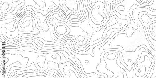Thorough Examination of Topography and Topology: An In-Depth Analysis of the Role and Significance of White in Geometric Design, Cartography, and Spatial Representation, Exploring Its Impact