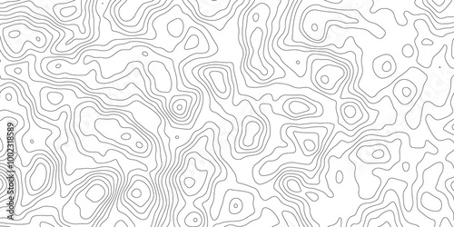 Thorough Examination of Topography and Topology: An In-Depth Analysis of the Role and Significance of White in Geometric Design, Cartography, and Spatial Representation, Exploring Its Impact
