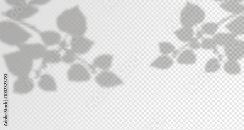 Glare from the sun's rays on the wall. Blurred shadows from leaves and plants in the room. Soft overlay of natural light. 