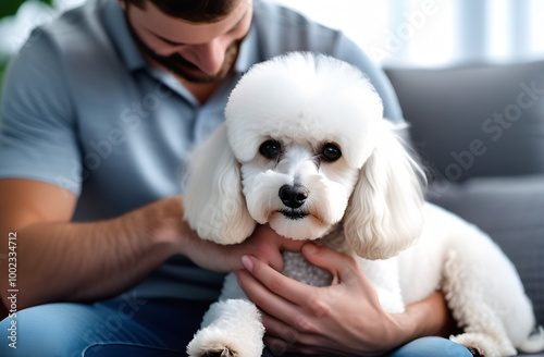 A man holds a white poodle in his arms with his head tilted