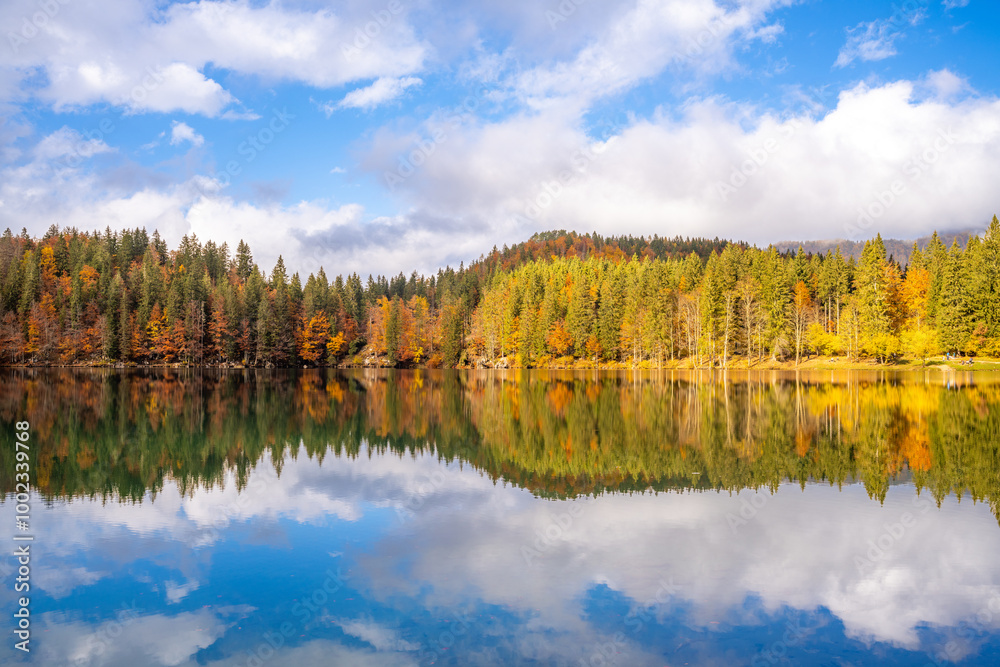 Mirror reflection of autumn forest on a lake