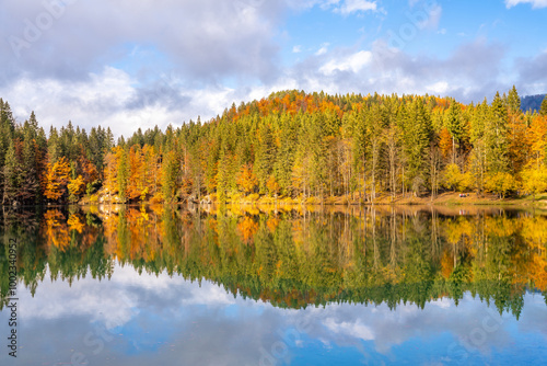 Mirror reflection of autumn forest on a lake