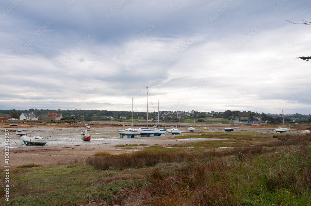 Fototapeta premium joli paysage sur l'île Grande en Bretagne - France
