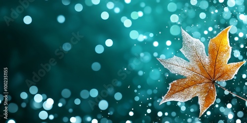 A frosty autumn leaf against a teal background.