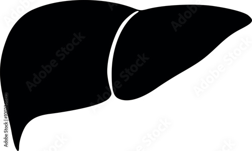 Human liver icon