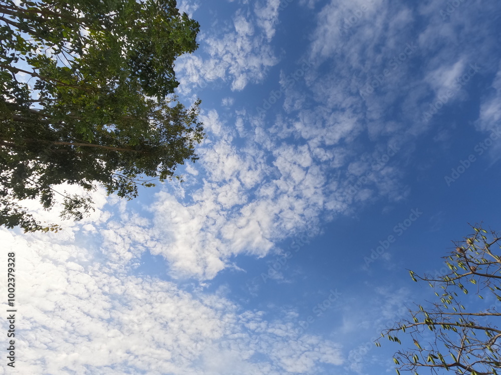 Blue sky and White cloud nature background Blue sky and White cloud nature background