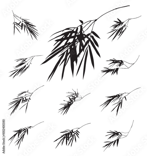 Branch of bamboo leaves on white background isolated. Vector illustration line art drawing. Botanical hand drawn element. Black and white element.