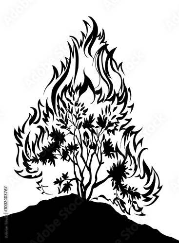 Burning bush. Vector drawing icon