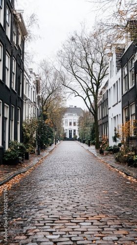 A charming street in Amsterdam showcases a white house surrounded by elegant black and brown buildings, with vibrant autumn leaves lining the cobblestone road beneath a grey sky