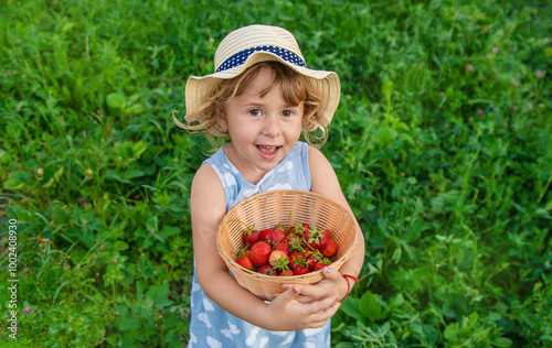 Child picking strawberries in the garden. Selective focus.