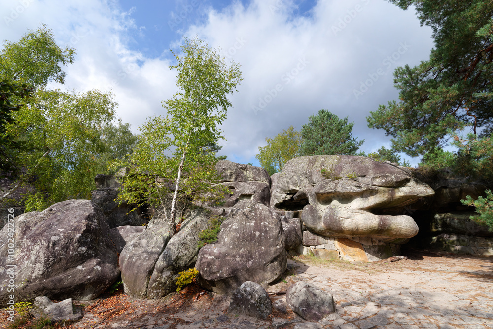 Road of the crying rock in the Franchard Gorges. Fontainebleau forest Road of the crying rock in the Franchard Gorges. Fontainebleau forest