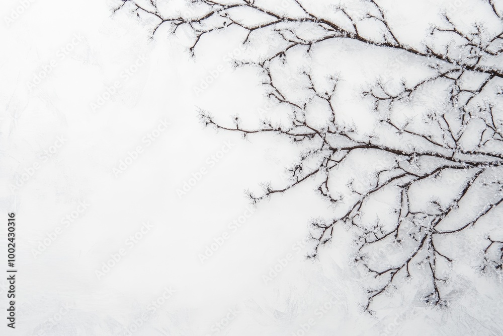 Obraz premium Frost-Covered Branches on a White Snowy Surface