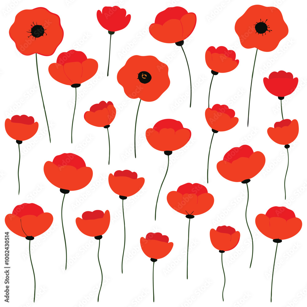 A vibrant red poppy flowers vector illustration on a white background. This elegant and detailed design is perfect for floral-themed art, prints, cards, or decoration projects. A vibrant red poppy flowers vector illustration on a white background. This elegant and detailed design is perfect for floral-themed art, prints, cards, or decoration projects.