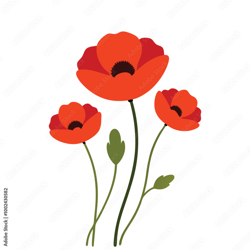 Obraz premium A vibrant red poppy flowers vector illustration on a white background. This elegant and detailed design is perfect for floral-themed art, prints, cards, or decoration projects.
