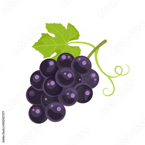 Bunch of dark grape isolated on white background. Vector cartoon flat illustration. Fruit icon.