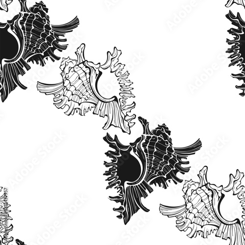 Seamless vector pattern with  seashells. Nature background. Outline and silhouette. Black and white.  Perfect for wallpaper, wrapping, fabric, print and textile. 