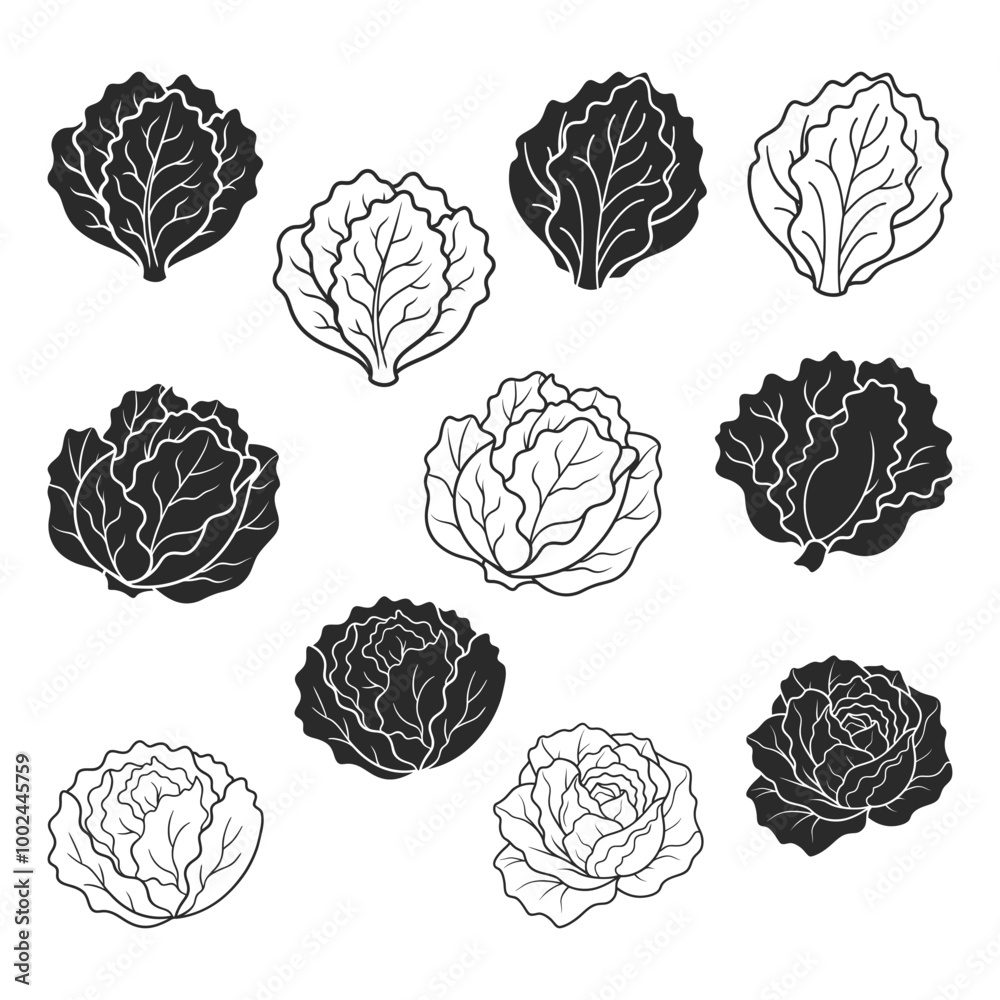 Lettuce Shiluoette. Lettuce Vector Files for Cricut. Vegetable Svg' Lettuce Clipart Lettuce Shiluoette. Lettuce Vector Files for Cricut. Vegetable Svg' Lettuce Clipart