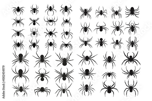 Spooky Spider Silhouettes and Web Art