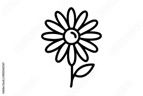 Vector minimalist daisy with thin radiating petals line art style
