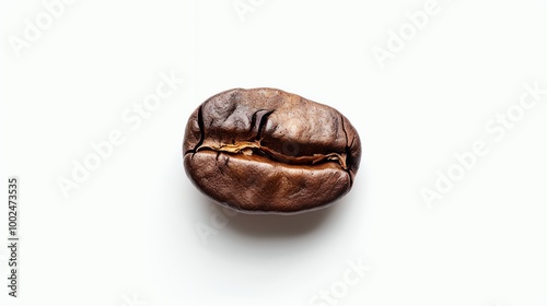 Single roasted coffee bean isolated on white background.