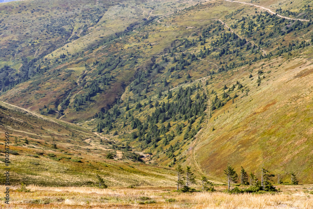 Naklejka premium view of the mountain couloir from the top of the ridge, mountain valley
