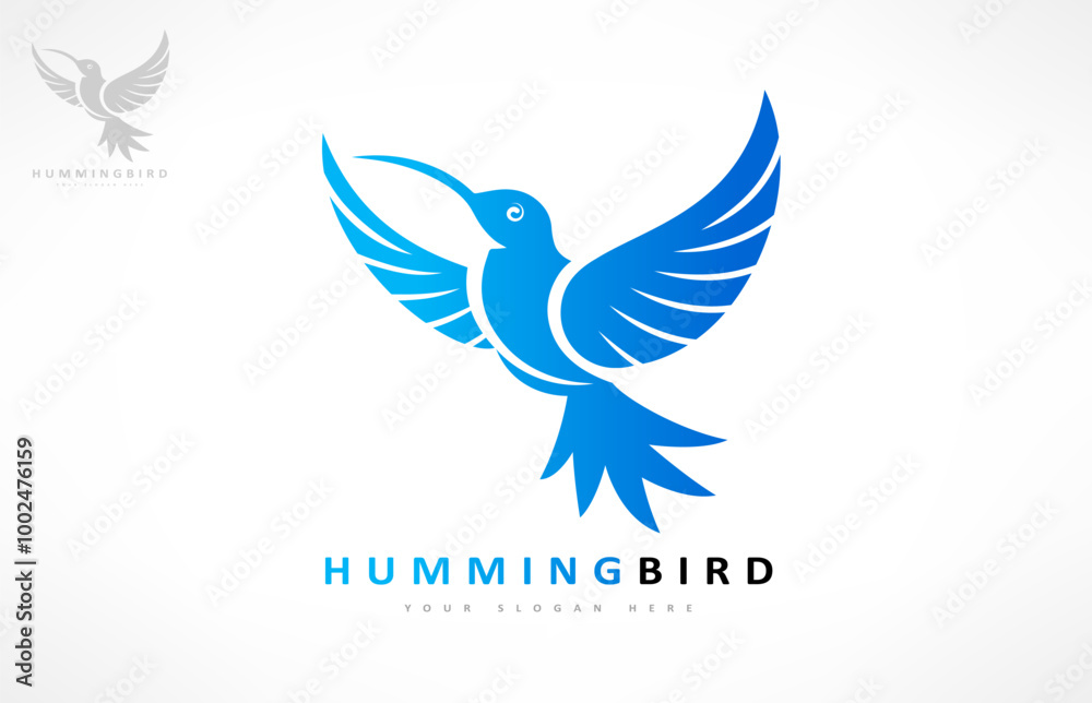 Fototapeta premium Hummingbird Logo Vector. Bird design