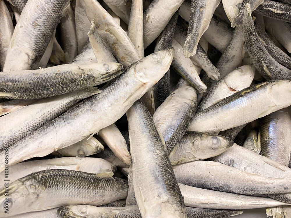 Obraz premium Lots of freshly frozen sprat herring top view.