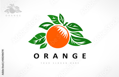 orange fruit and leaf logo vector