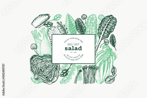 Green Vegetable Design Template. Vector Hand Drawn Healthy Leaf Salad Banner. Vintage Style Menu Illustration.