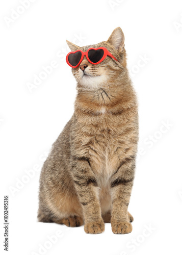 Grey cat with red heart shaped sunglasses on white background. Adorable cat for Valentine's Day. Calendar, event agency. Love.  Place for text. Greeting card. Happy birthday. Cat looks away